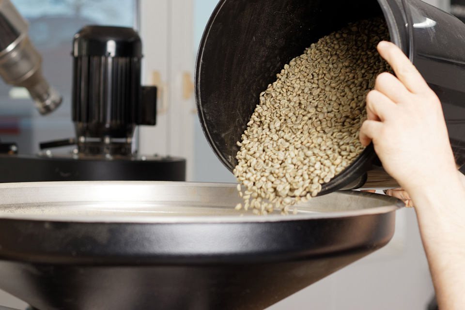 Person schüttet ungeröstete Kaffeebohnen in die Rösttrommel
