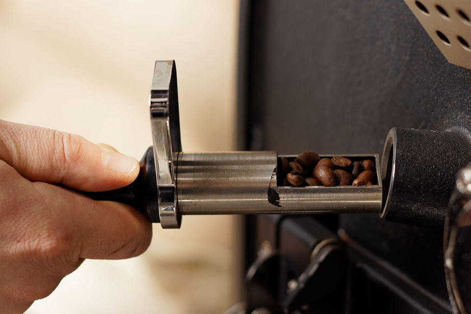 Person überprüft den Röstgrad der Kaffeebohnen